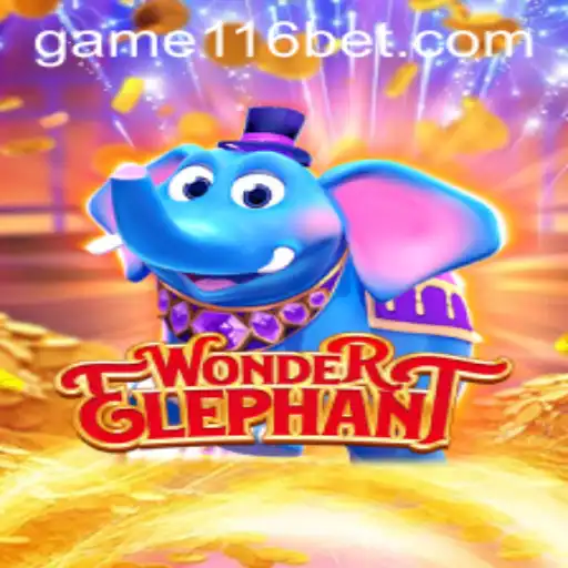 WonderElephant and the Rise of 116 Bet: A Game Full of Surprises